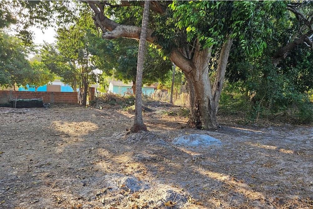 Terreno - Venda - Jijoca de Jericoacoara , Ceará - 20240905_163758.jpg - 722341001-43