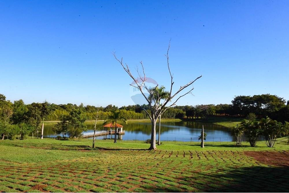 Terreno - Venda - Rio Verde , Goiás - Imagem do WhatsApp de 2025-05-17 à(s) 11.26.24_13afb5d7.jpg - 722291025-7