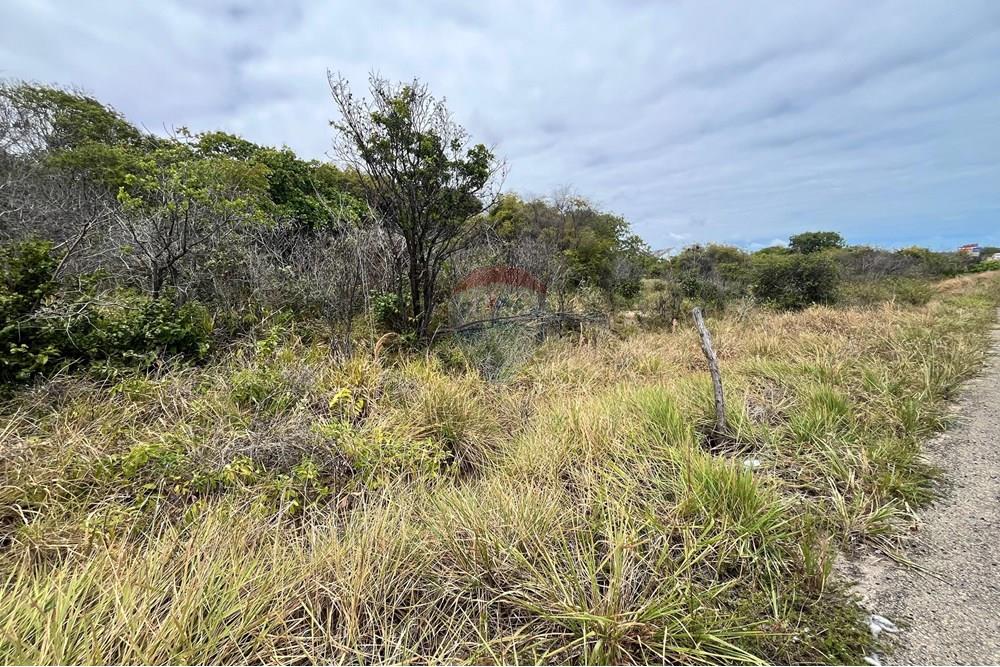 Terreno - Venda - Conde , Paraíba - Imagem do WhatsApp de 2025-12-12 à(s) 12.07.23_94865cdc.jpg - 720871029-84