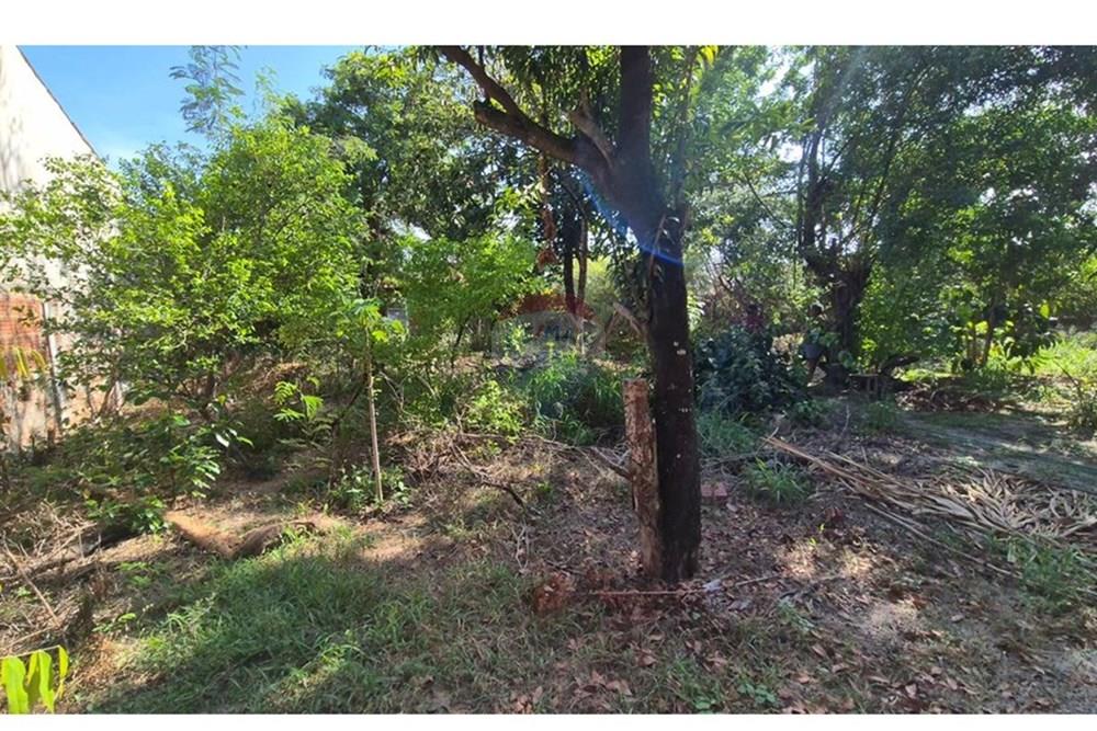 Terreno - Venda - Parnamirim , Rio Grande do Norte - WhatsApp Image 2026-03-02 at 10.05.19.jpeg - 720811040-40