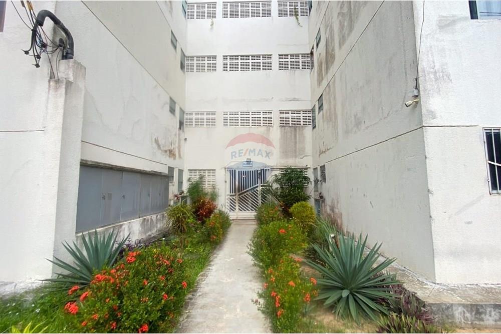 Apartamento - Alugar - Parnamirim , Rio Grande do Norte - 718817d2-90e5-4e82-a0d6-02c4e1318563.jpg - 720811011-93