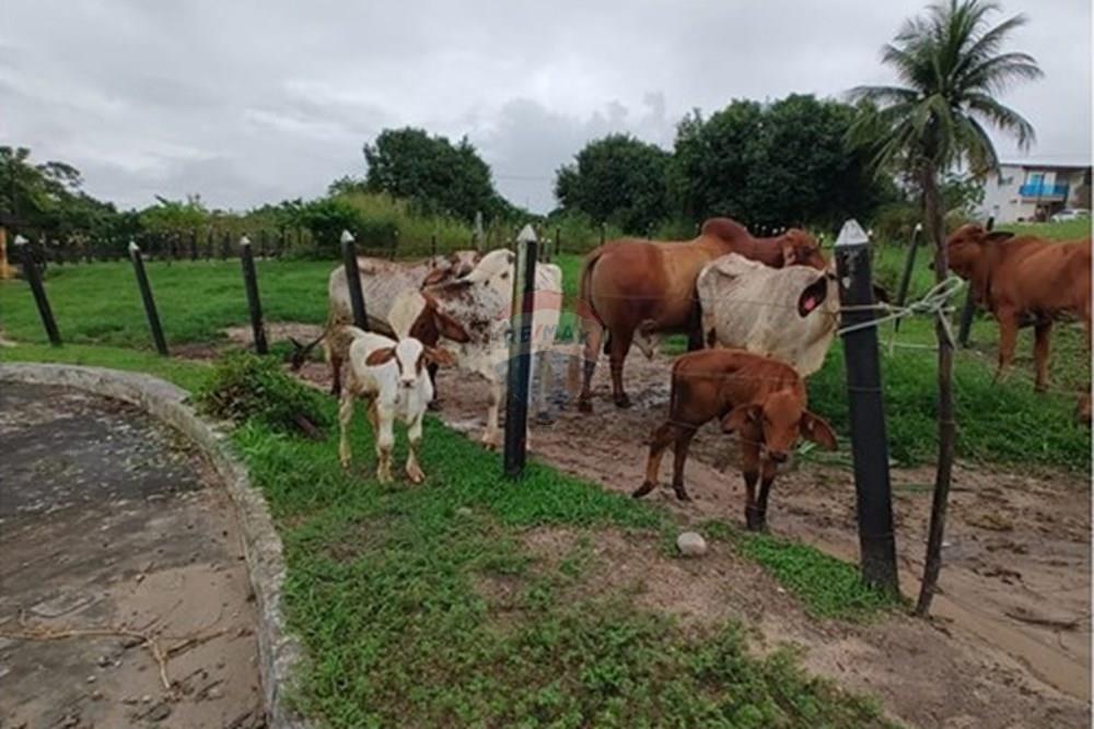 Terreno - Venda - Conde , Paraíba - WhatsApp Image 2025-05-30 at 09.14.45 (1).jpeg - 720871050-5