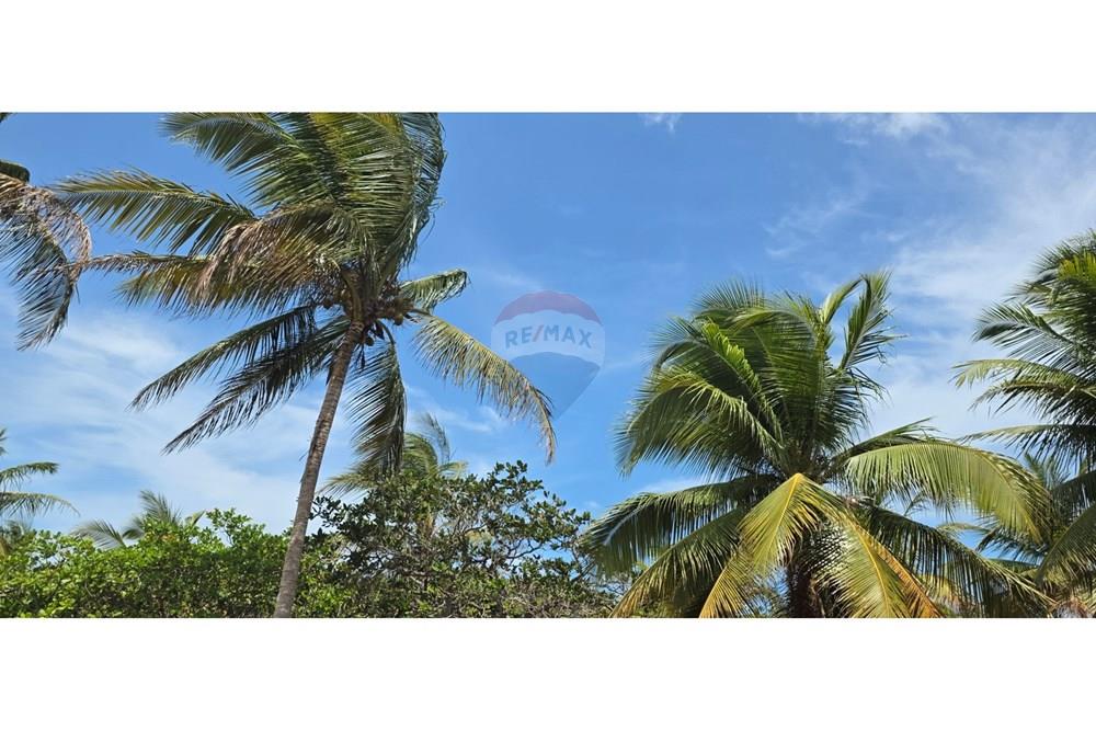 Terreno - Venda - Acaraú , Ceará - 1000304699.jpg - 722341001-114