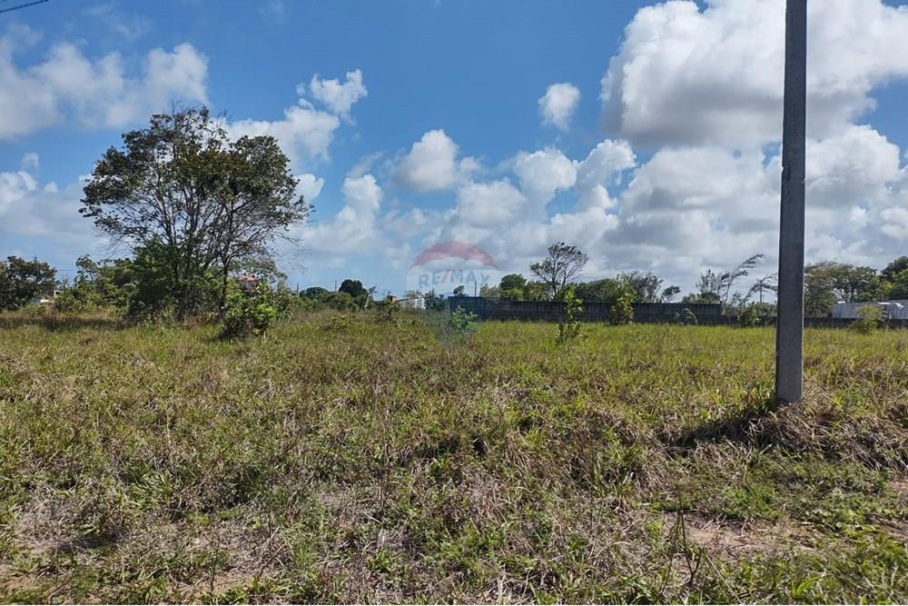 Terreno - Venda - Conde , Paraíba - 1433c975-92c8-4fee-84e2-076e84d0ab90.jpg - 720871031-69