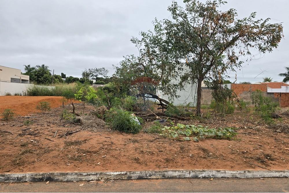 Terreno - Venda - Rondonópolis , Mato Grosso - WhatsApp Image 2025-07-03 at 15.42.33.jpeg - 720851064-28