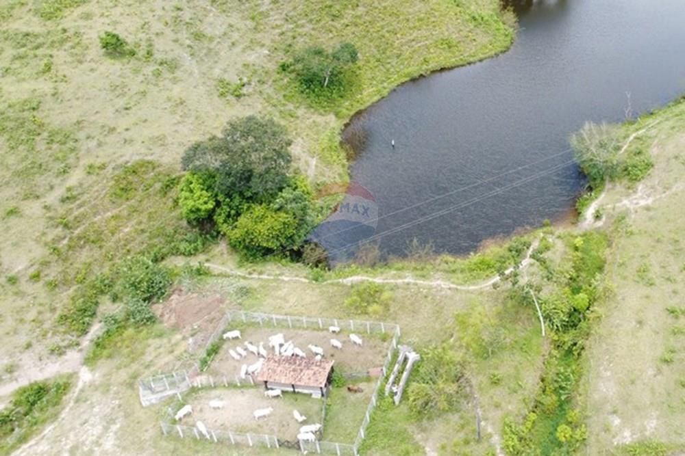 Chácara / Sítio / Fazenda - Venda - Areia , Paraíba - DJI_0399.JPG - 722011055-52