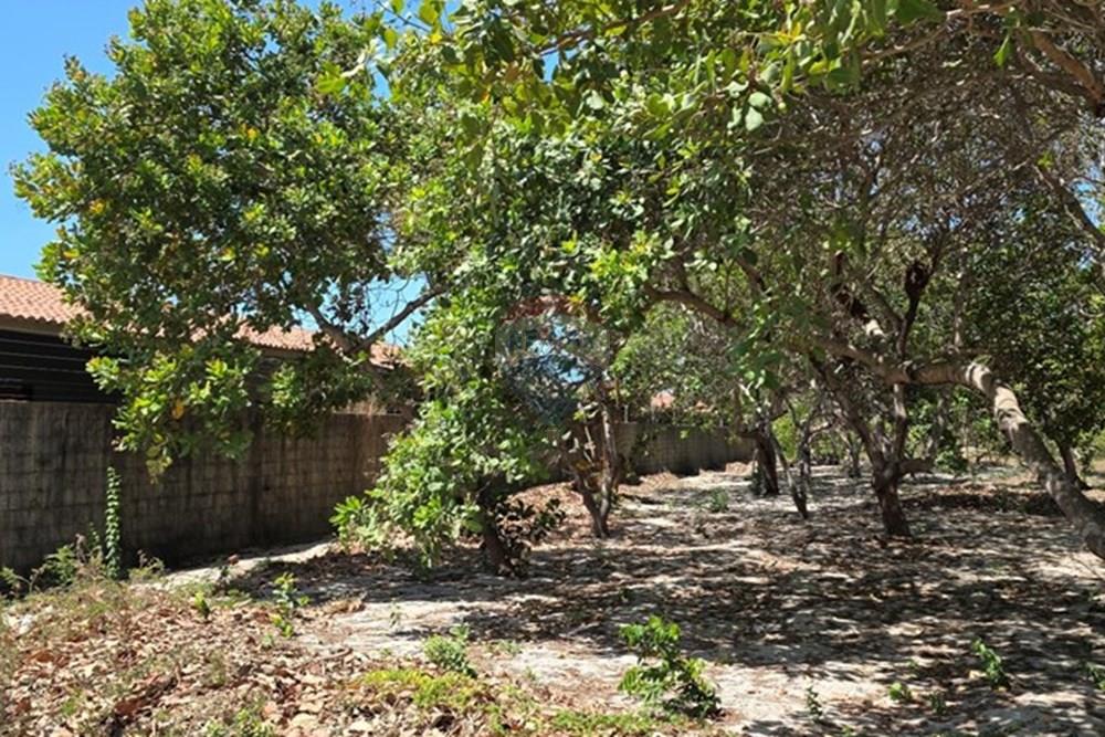 Terreno - Venda - Cruz , Ceará - 1000234205.jpg - 722341001-112