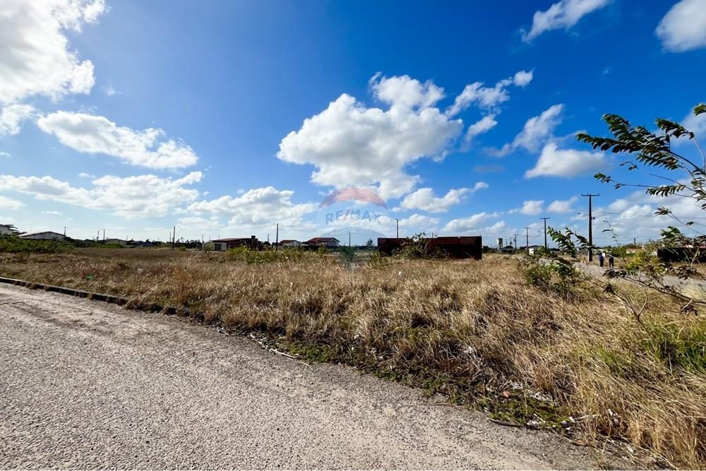 Terreno - Venda - São José de Mipibu , Rio Grande do Norte - 64918d0f-dbb4-4833-8912-2ff45e6966ec.jpg - 720811011-106
