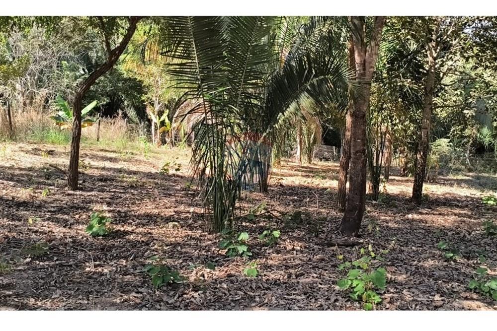 Terreno - Venda - Rondonópolis , Mato Grosso - Imagem do WhatsApp de 2025-08-21 à(s) 13.38.54_b0ef4c63.jpg - 722261012-23