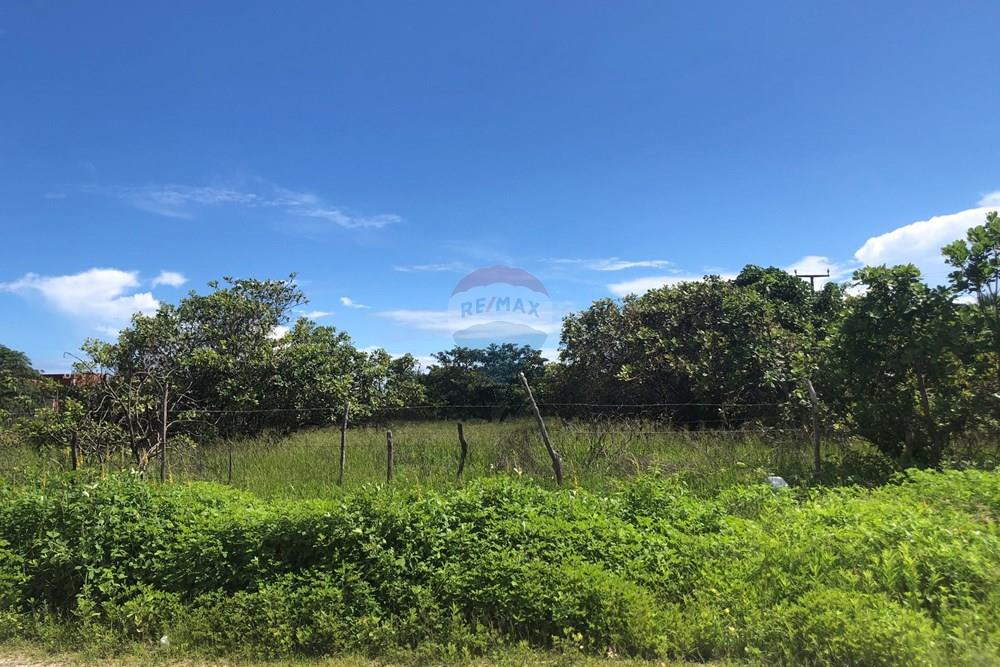 Terreno - Venda - Cruz , Ceará - IMG_0585.jpeg - 722341001-199