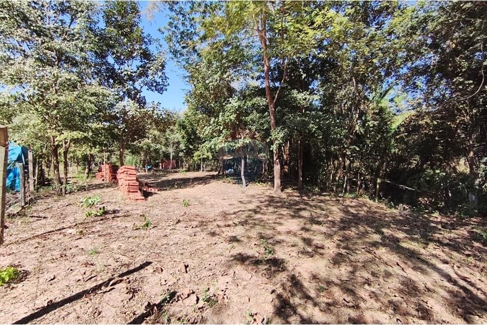 Terreno - Venda - Rondonópolis , Mato Grosso - Imagem do WhatsApp de 2025-08-21 à(s) 13.38.54_081b4765.jpg - 722261012-23