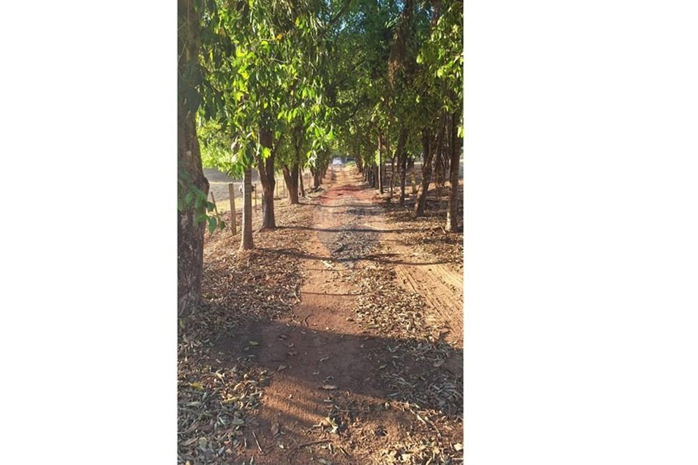 Casa - Venda - Rondonópolis , Mato Grosso - IMG-20250916-WA0120.jpg - 721981068-10