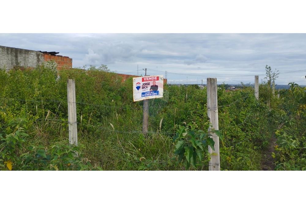 Terreno - Venda - São Gonçalo do Amarante , Rio Grande do Norte - WhatsApp Image 2025-07-18 at 18.02.40.jpeg - 720891003-96