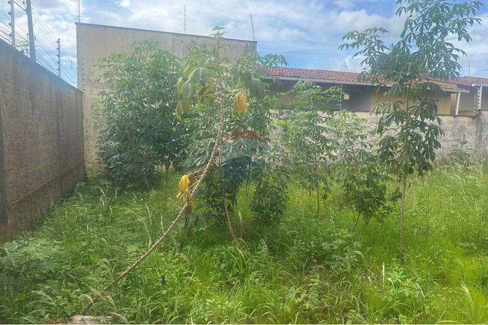 Terreno - Venda - Araguaína , Tocantins - IMG_2008.jpeg - 720991036-11