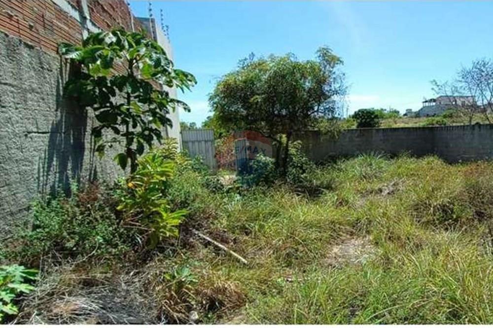 Terreno - Venda - Conde , Paraíba - WhatsApp Image 2023-12-22 at 09.48.57 (1).jpeg - 720871009-182