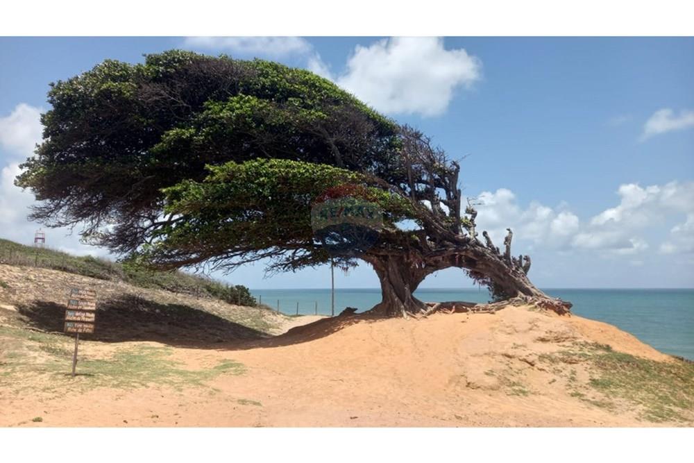 Terreno - Venda - Maxaranguape , Rio Grande do Norte - WhatsApp Image 2026-02-24 at 14.18.54.jpeg - 720891228-28