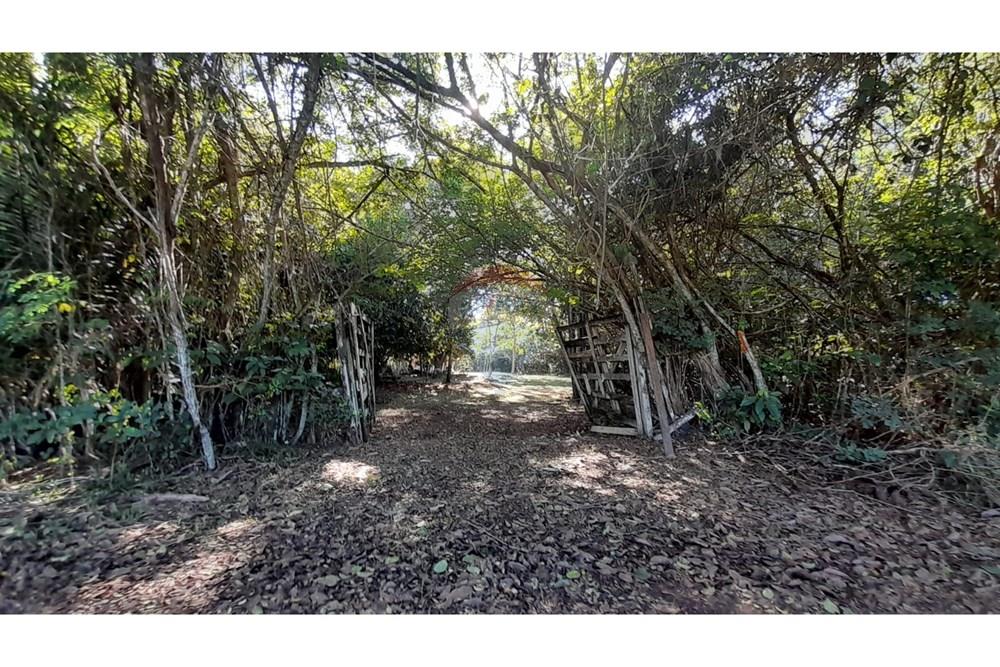 Chácara / Sítio / Fazenda - Venda - Porto Velho , Rondônia - Imagem do WhatsApp de 2025-05-21 à(s) 09.26.04_c543c8e0.jpg - 721551046-37