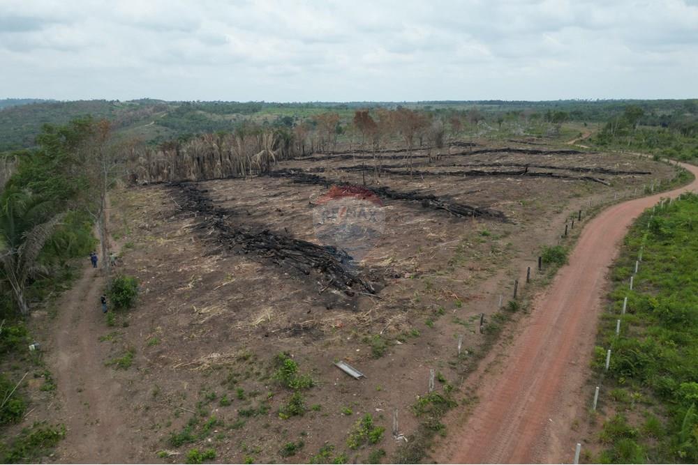 Chácara / Sítio / Fazenda - Venda - Araguaína , Tocantins - DJI_0053.JPG - 720991045-15