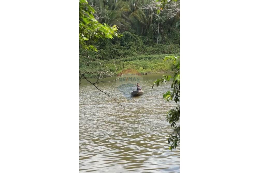 Fazenda - Venda - Rosário , Maranhão - IMG_0655.jpg - 722281002-38