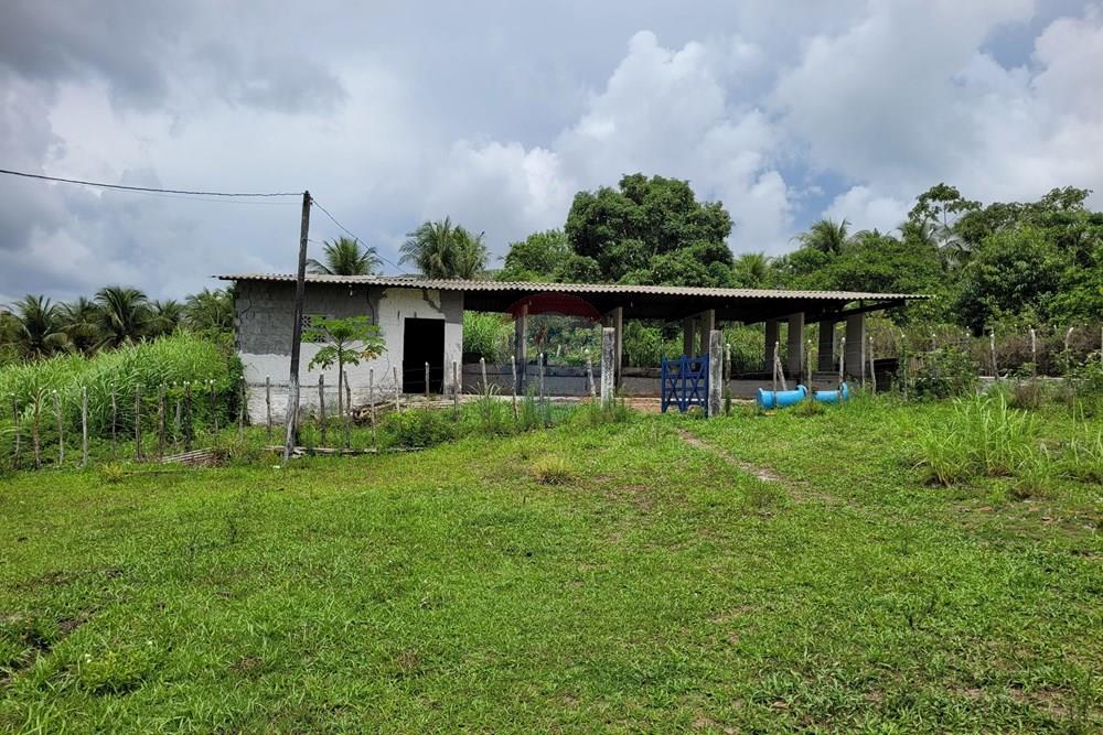 Chácara / Sítio / Fazenda - Venda - Conde , Paraíba - 20260207_103703.jpg - 722011055-53