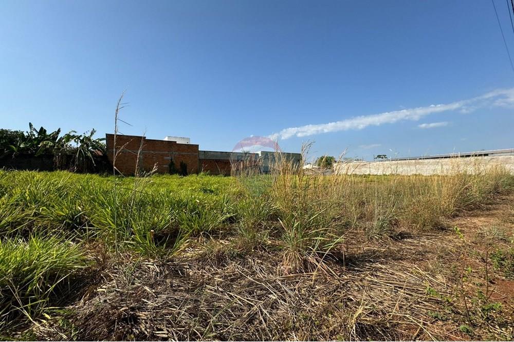 Terreno - Venda - Araguaína , Tocantins - WhatsApp Image 2024-08-22 at 17.40.37 (1).jpeg - 720991002-163