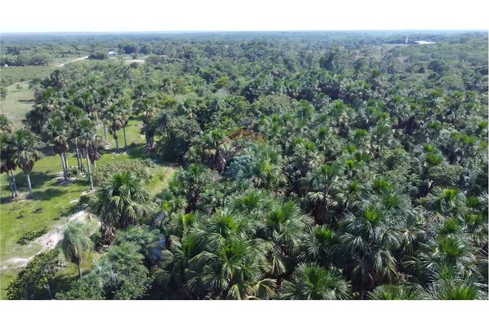 Chácara / Sítio / Fazenda - Venda - Porto Alegre do Norte , Mato Grosso - 18 - 720641031-14