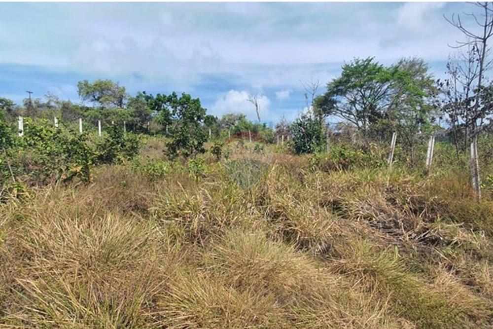 Terreno - Venda - Conde , Paraíba - f33dcf4c-3301-4c54-83fc-1bad47b93445.jpeg - 720471019-134