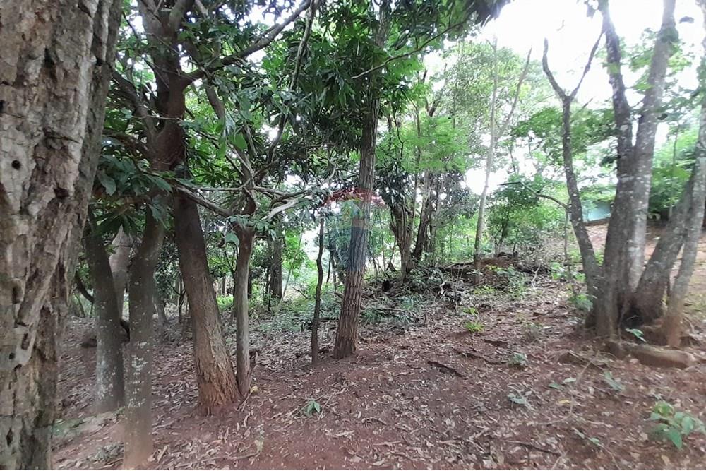 Chácara / Sítio / Fazenda - Venda - Goiânia , Goiás - WhatsApp Image 2025-12-15 at 15.12.36.jpeg - 722271015-41