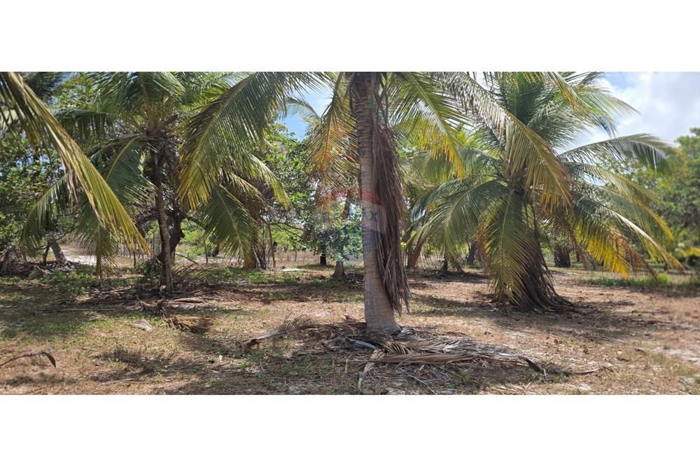 Terreno - Venda - Acaraú , Ceará - 1000304684.jpg - 722341001-114