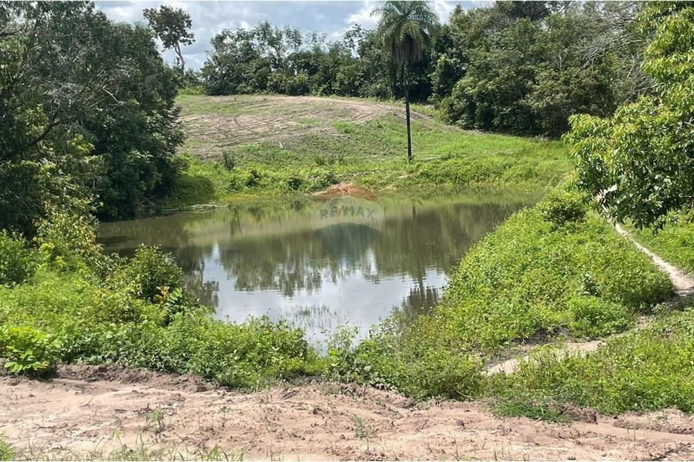 Chácara / Sítio / Fazenda - Venda - Araguaína , Tocantins - WhatsApp Image 2025-07-10 at 9.52.08 AM (1).jpeg - 722171061-11