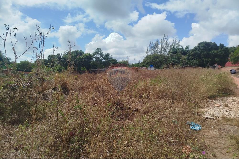 Terreno - Venda - Nísia Floresta , Rio Grande do Norte - WhatsApp Image 2024-11-22 at 21.32.29 (2).jpeg - 720891013-275