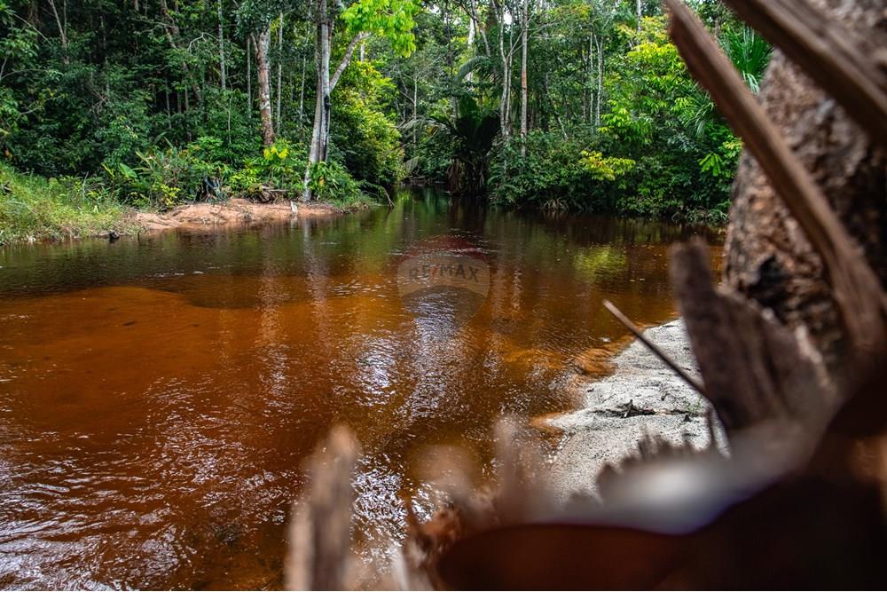 Woningbouw - Boerderij - Novo Airão , Amazonas - BR - IMG_7321.jpg - 720721055-29