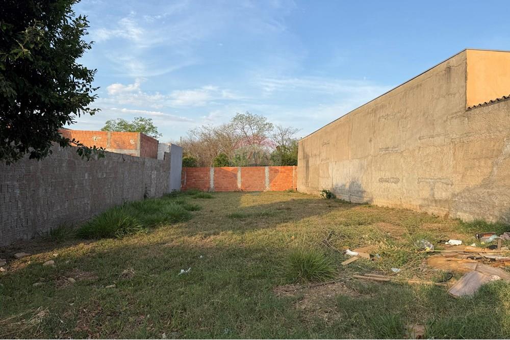 Terreno - Venda - Rondonópolis , Mato Grosso - IMG_1566.jpeg - 720851139-1