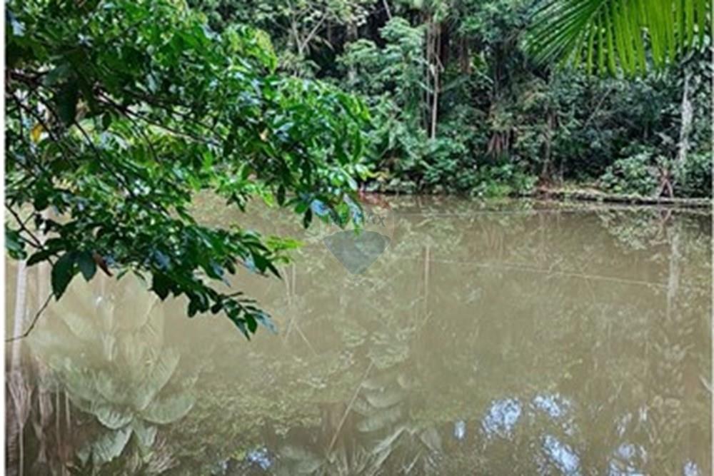 Casa de Condomínio - Venda - Manaus , Amazonas - IMG_20251216_141904.jpg - 722051049-18