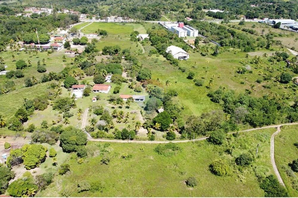 Terreno - Venda - Goiana , Pernambuco - DJI_0827.JPG - 722011055-50