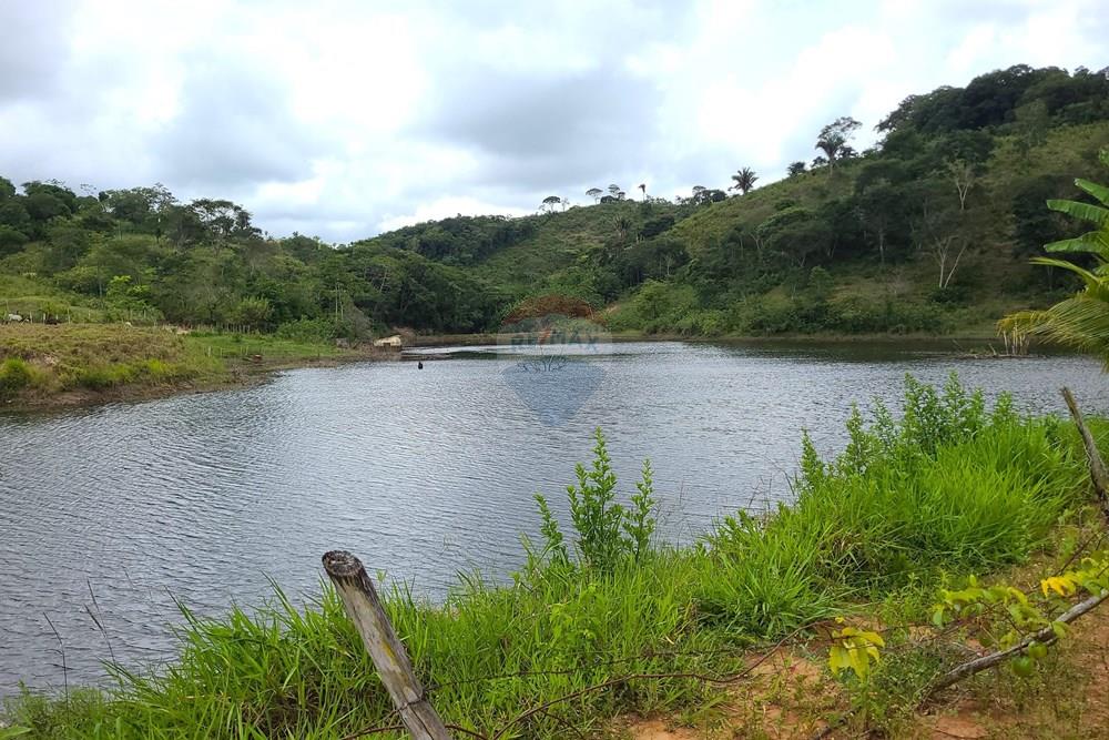 Chácara / Sítio / Fazenda - Venda - Areia , Paraíba - DJI_20230206_112712_618.jpg - 722011055-52