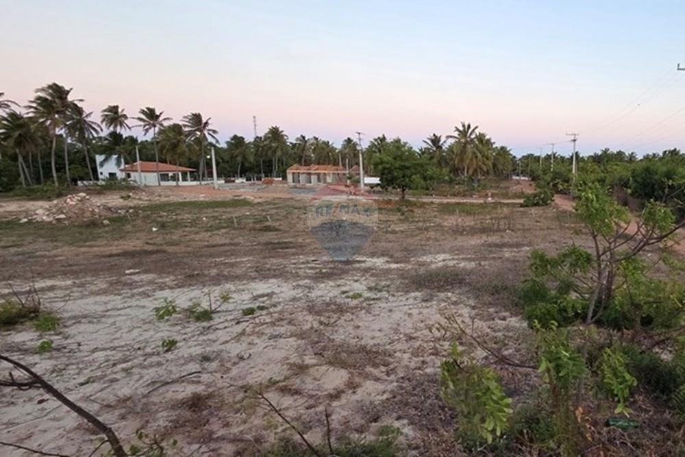 Terreno - Venda - Trairi , Ceará - 1000193880.jpg - 722341001-102