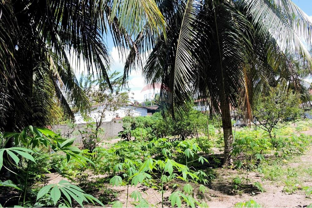 Terreno - Venda - Parnamirim , Rio Grande do Norte - DSCN4931.JPG - 720891130-357