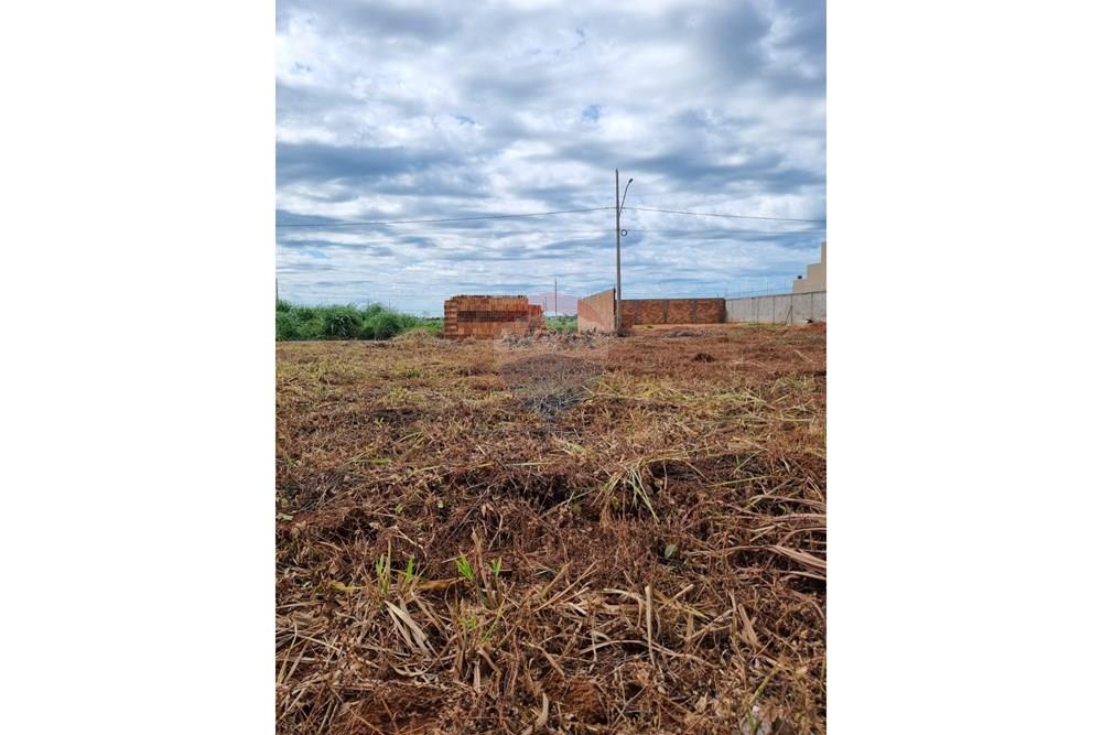 Terreno - Venda - Confresa , Mato Grosso - WhatsApp Image 2026-01-27 at 10.43.41 (2).jpeg - 720641046-17