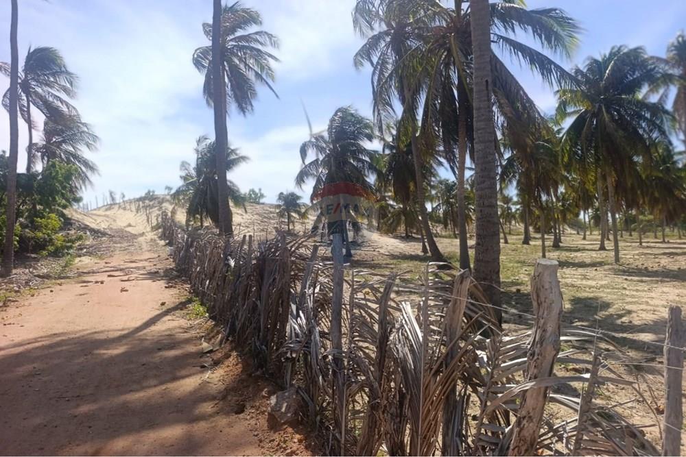 Terreno - Venda - Trairi , Ceará - WhatsApp Image 2026-01-28 at 14.05.48.jpeg - 722341005-47