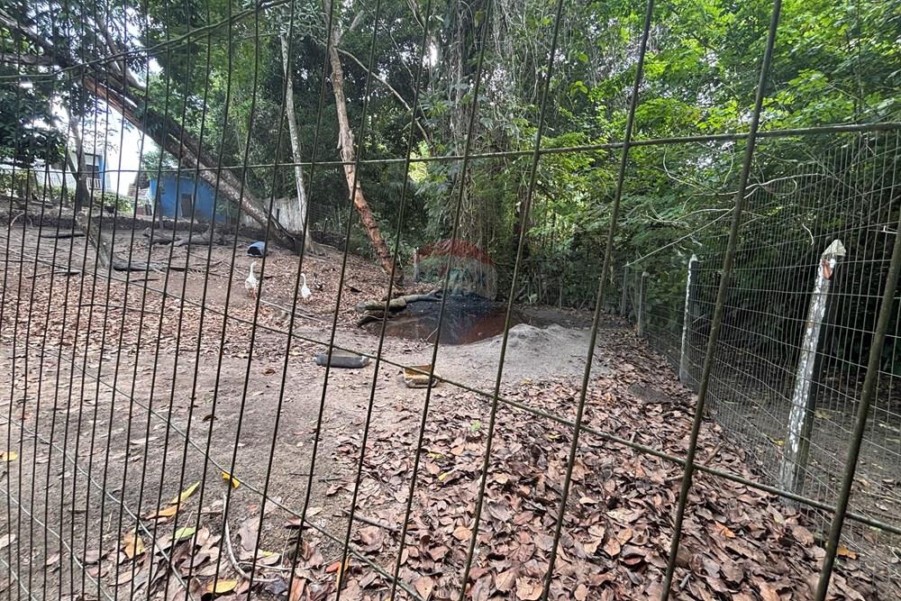 Terreno - Venda - Conde , Paraíba - IMG_0390.jpeg - 720871018-124