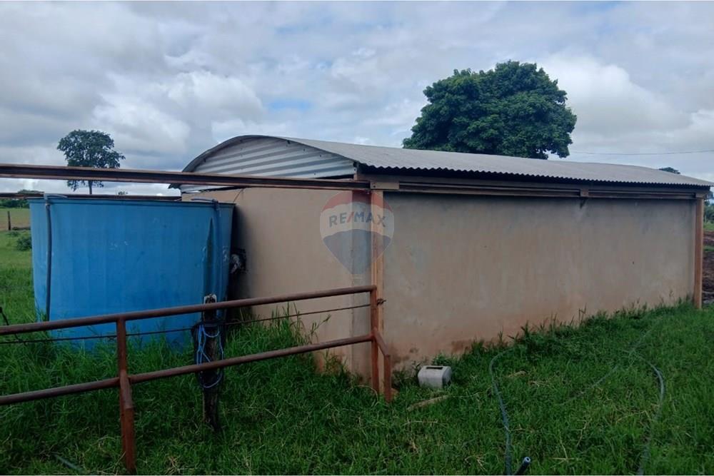 Chácara / Sítio / Fazenda - Venda - Juscimeira , Mato Grosso - WhatsApp Image 2026-01-25 at 07.55.39 (3).jpeg - 722201031-2