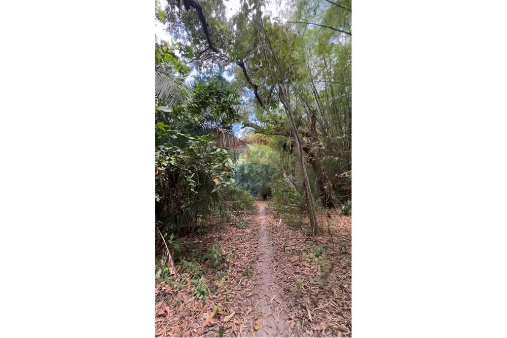 Fazenda - Venda - Rosário , Maranhão - IMG_0658.jpg - 722281002-38