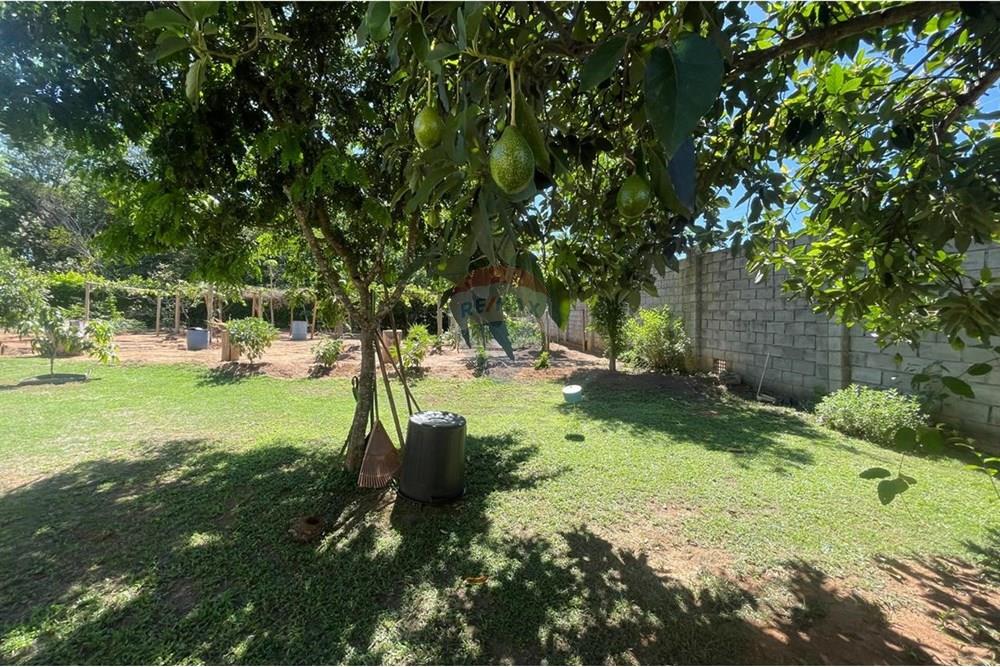 Chácara / Sítio / Fazenda - Venda - Nova Veneza , Goiás - WhatsApp Image 2025-11-18 at 07.24.55 (1).jpeg - 722271015-32