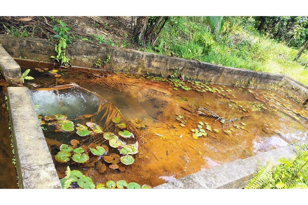 Chácara / Sítio / Fazenda - Venda - Conde , Paraíba - IMG_20251012_124921992_HDR_AE.jpg - 720871055-28