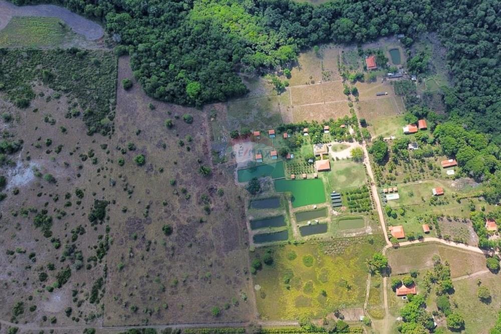 Chácara / Sítio / Fazenda - Venda - Araguaína , Tocantins - IMG_9038.JPG - 722171030-16