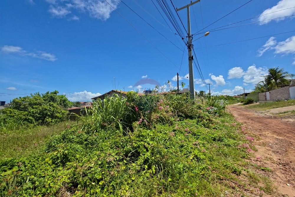 Terreno - Venda - Conde , Paraíba - 20260324_121637.jpg - 720871015-147