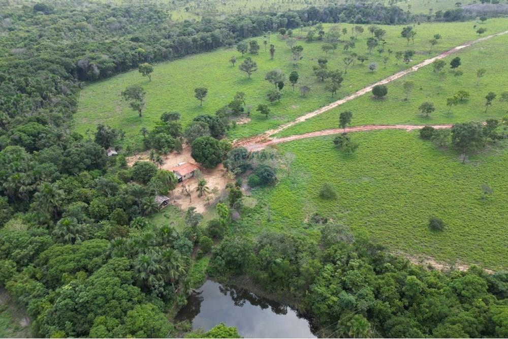 Fazenda - Venda - Araguaína , Tocantins - WhatsApp Image 2025-12-13 at 19.32.31 (3).jpeg - 720991010-81
