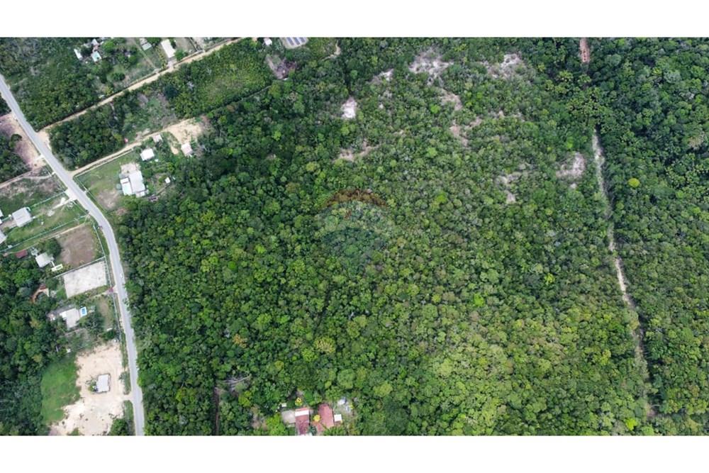 Terreno - Venda - Manaus , Amazonas - WhatsApp Image 2025-12-18 at 17.09.46.jpeg - 720721004-184