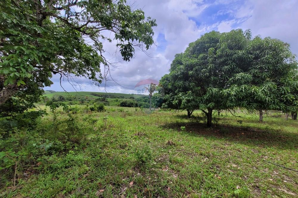 Chácara / Sítio / Fazenda - Venda - Conde , Paraíba - 20260207_103856.jpg - 722011055-53